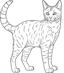 Fototapeta na wymiar Egyptian Mau Cat, colouring book for kids, vector illustration