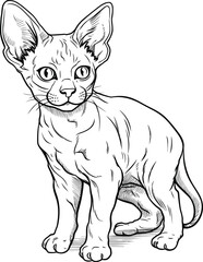 Devon Rex Cat, colouring book for kids, vector illustration