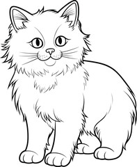 Obraz premium Birman Cat, colouring book for kids, vector illustration