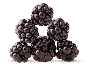 Many ripe blackberry