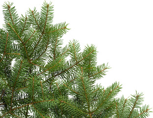 LAYER-LAB_1411183641_LC