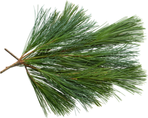 LAYER-LAB_1411183683_LC