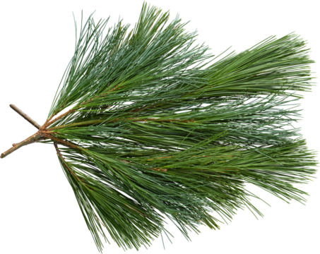 LAYER-LAB_1411183683_LC