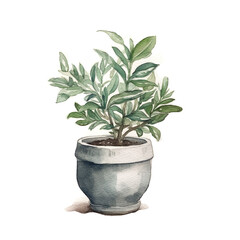 Watercolor illustration of a plant in a pot. Hand-drawn watercolor illustration. Generative AI