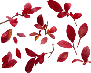 LAYER-LAB_1610192175_LC