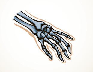 Obraz na płótnie Canvas Vector drawing. Bones of the hand
