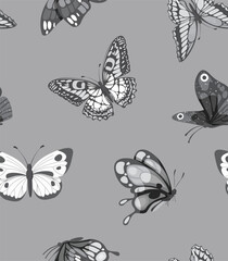 Butterfly Seamless Patterns