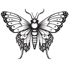 A drawing of a moth in black and white. Tattoo idea for a insect theme.