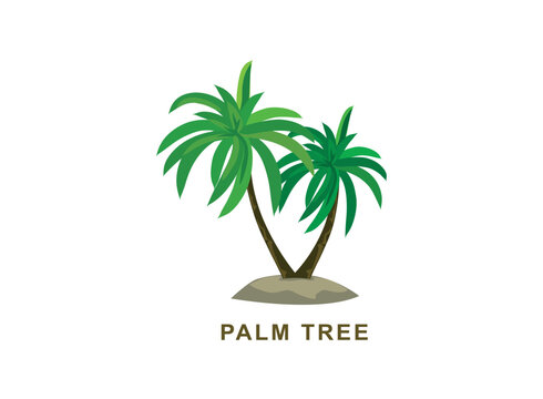 two palm trees vector illustration, coconut trees hand drawing art