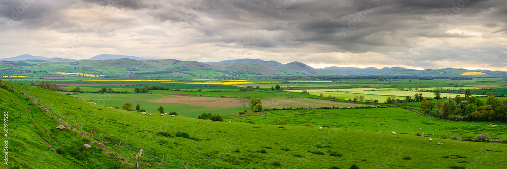 Sticker Milfield Plain and Cheviot Hills Panorama, viewed from Doddington Moor, Milfield Plain is in Glendale and was once an ancient lake and is now flat farmland