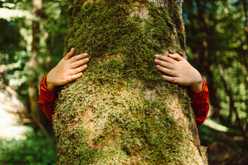 Closeup hands of woman hugging tree in forest, Nature conservation, environmental protection. Wild nature, wild life. Earth Day. Traveler girl in a beautiful green forest. Conservation, ecology