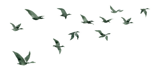 A flock of birds abstract watercolor