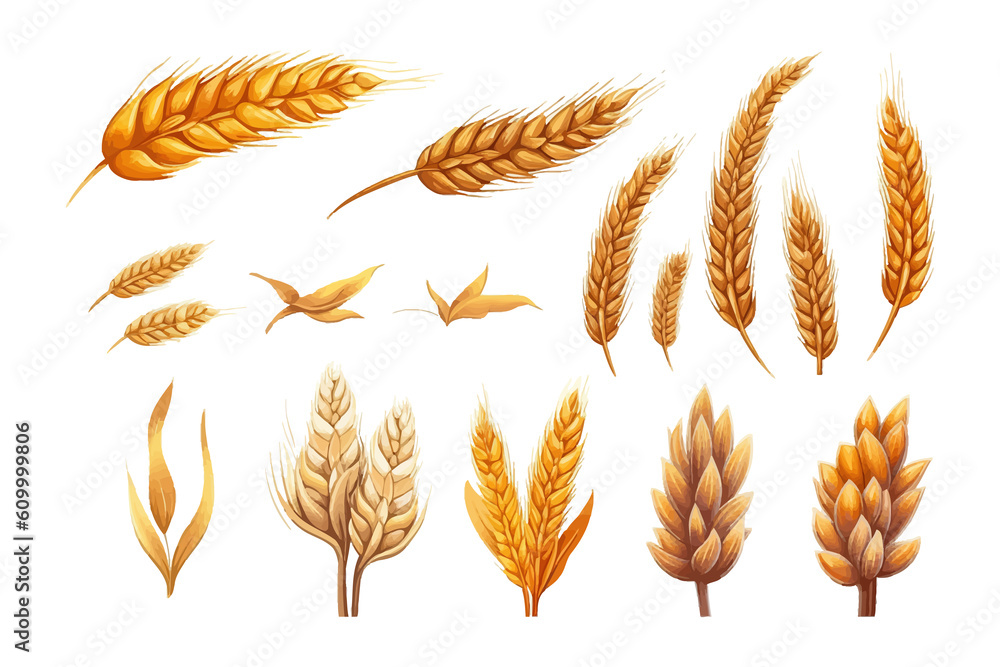 Aufkleber wheat set collection graphic clipart design. flat generative ai