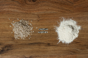 Raw sunflower seeds equals natural healthy protein, concept.