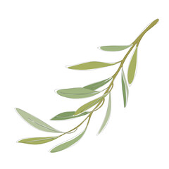 leaves watercolour vector