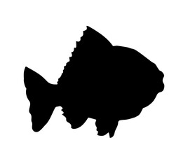 Vector drawing. Fish in the water