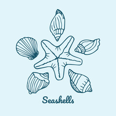 Hand drawn seashells set. Various sea shells types. Doodle vector illustration. Best for using in nautical and marine themed design