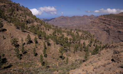 Gran Canaria, landscape of the southern part of the island, hiking route of ascent of Tauro mountain
