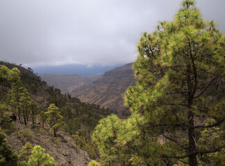 Gran Canaria, landscape of the southern part of the island, hiking route of ascent of Tauro mountain
