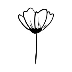 line drawing flower illustration