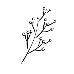 line drawing flower illustration