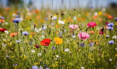  a field full of colorful flowers with a blue sky in the background of the photo and grass in the foreground, with a few wildflowers in the foreground.  generative ai