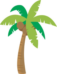 palm tree