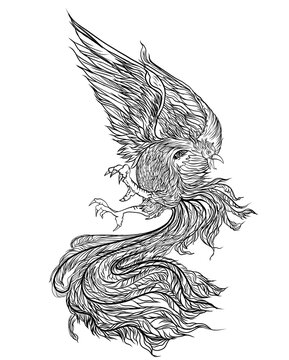 Phoenix Fire bird illustration and character design.Hand drawn Phoenix tattoo Japanese and Chinese style,Legend of the Firebird is Russian fairy tales and it is creature from Slavic folklore.