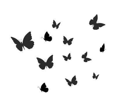 butterfly hand drawn design vector 