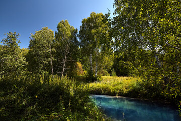 Forest landscape with river. A beautiful Russian landscape with birch trees and a blue sky with white clouds.