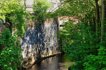 river in the middle of town 