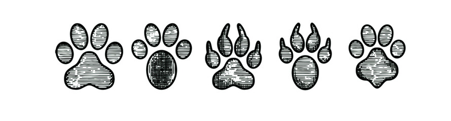 Animals footprints. Prints animal bird paw, wildlife foot icon, domestic pets footstep silhouette, print hoofed feet