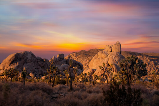 View from road trip with Joshua trees national park at sunset landscape around. California, USA