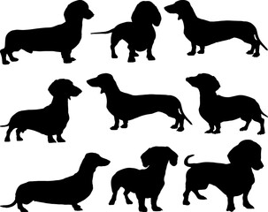 Set of Dachshund Dogs Silhouette