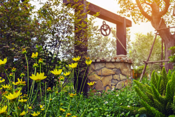 Beautiful yellow cosmos flowers with blurred image of artesian well made by stones and wheel pulley...
