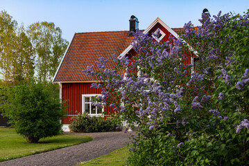 Traditional red wooden house in sparsely populated south-east Sweden in the district of Kalmar Län. The photo was taken on one of the first days of summer.