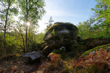 Fototapete bei efototapeten.de bestellen   