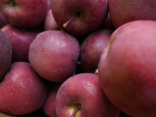 Red Delicious Apples for market ready