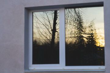 Silhouettes of trees at sunset. Dark tree branches against the bright sun.