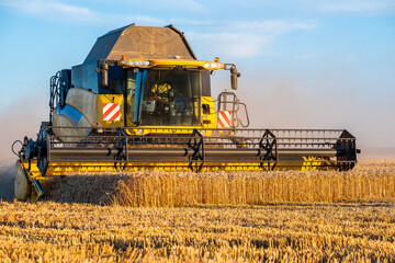 Une moissonneuse batteuse en train de couper les blés