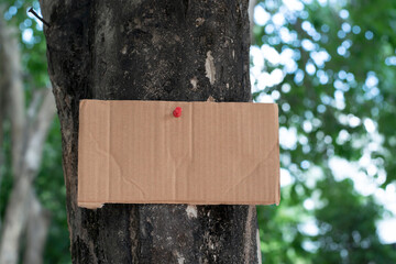 Tree trunk which has blank wordcard board sticked on the bark, concept for environment study, nature study, calling out all people to care about trees around the world and environment day.