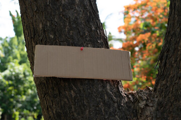 Tree trunk which has blank wordcard board sticked on the bark, concept for environment study, nature study, calling out all people to care about trees around the world and environment day.