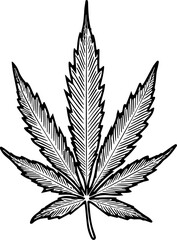 Cannabis marijuana icon vector image