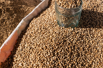 Pile of organic dried coriander seeds in an Asian market