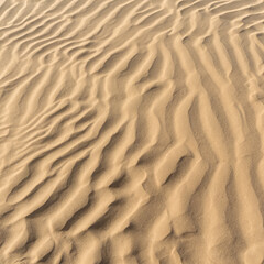 Sand texture summer beach