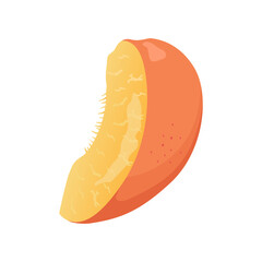 Quarter peach back view. Flat vector colored peach.