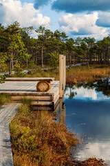 Wooden platform with bench in National Park with bog pools. Riisa Bog, Estonia, Europe.