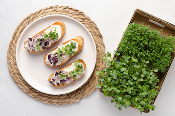 Healthy snacks or starter, appetizer with organic microgreens growing at home for healthy eating or for restaurant. Top view