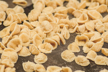 Fresh orecchiette or orecchietta, handmade pasta made with durum wheat and water, typical of Puglia or Apulia, a region of Southern Italy, close up