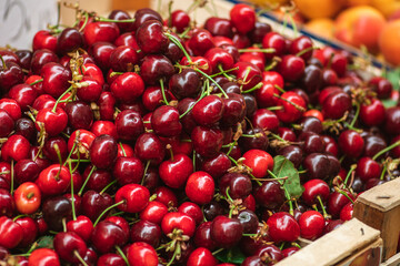 Fresh ripe red cherry or cherries fruit in a wooden box in a farmer agricultural open air market, seasonal healthy food. Concept of biological, bio products, bio ecology